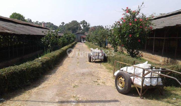 Gercep Edisi Turun Harga Tanah Dibawah Harga Pasar  Di Bantar Gebang Bekasi  2