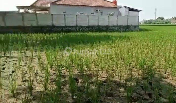 Dijual Tanah Di Desa Margasari Karawang, Lokasi Strategis Dekat Dengan Summarecon    *** Obbie 1