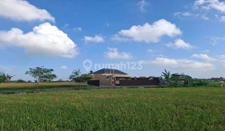 Villa For Lease Rice Field View Fully Furnished At Dalung Near To Canggu 1