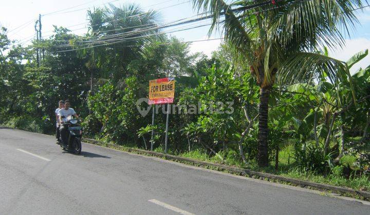 Disewakan tanah Lokasi Strategis Jalan Raya Batu Belig 1