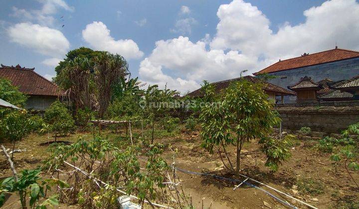 Tanah Jual di Lokasi Strategis di Jalan Kertanegara Ubung Denpasar  1