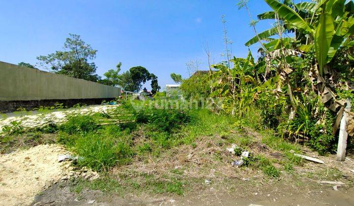 Strategic Area Land in Kayu Tulang Canggu 2