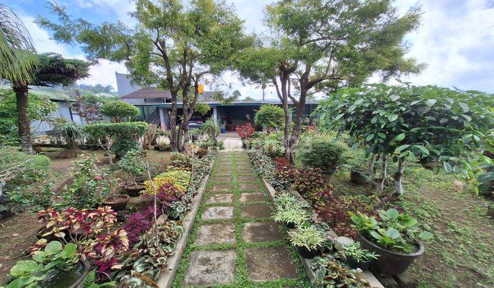 Rumah Jual View Pegunungan Di Baturiti Bedugul Tabanan  1