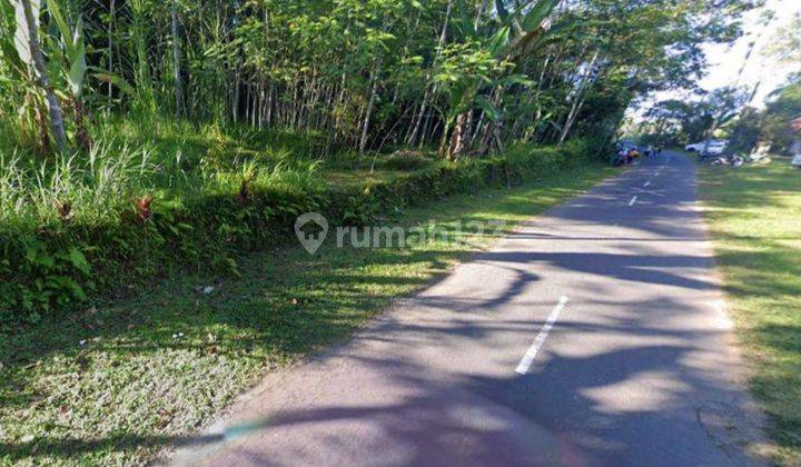 Tanah Jual Di Jalan Pakuseba Taro Tegalalang Ubud 2