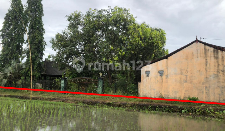 Tanah Jual Bonus bangunan ex Rumah Makan  Lokasi Nyaman View Sawah Yang hijau di Dalung Tanah Jual Bonus bangunan ex Rumah Makan  Lokasi Nyaman View Sawah Yang hijau di Dalung 