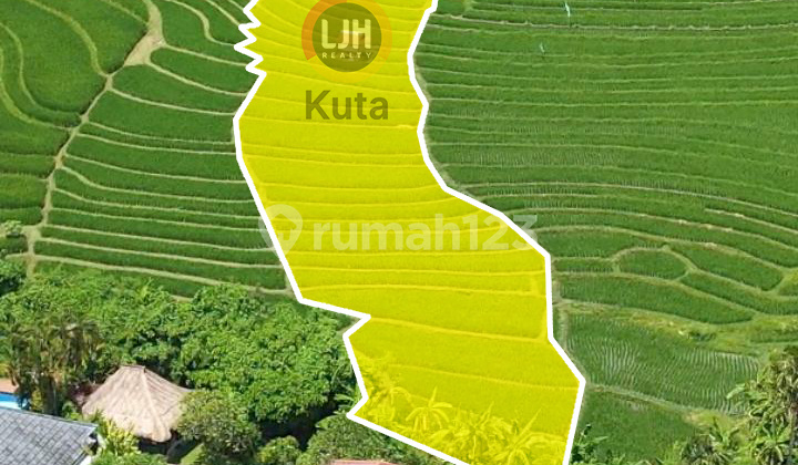 Land With Beautiful Rice Field View At Pererenan, Located In Quiet Area, Close To Babadan Beach And Pererenan Beach Land With Beautiful Rice Field View At Pererenan, Located In Quiet Area, Close To Babadan Beach And Pererenan Beach