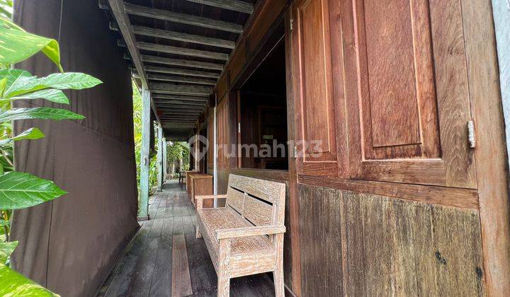 Rumah Sewa Japanese Style Di Perumahan One Gate System Lokasi Strategis Dekat Ke Sanur Dan Tol Bali Mandara  2