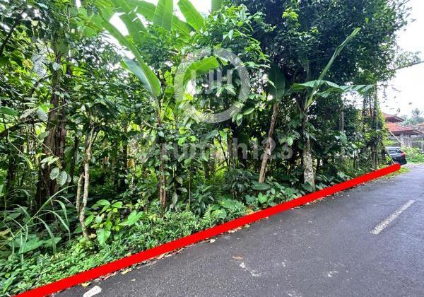 Land At Payangan, Gianyar, Suitable For Investment Or Plantation, Located In Quiet Area, Surrounded By Villa, Close To Sidampuan Waterfall And Gianyar Botanical Garden Land At Payangan, Gianyar, Suitable For Investment Or Plantation, Located In Quiet Area, Surrounded By Villa, Close To Sidampuan Waterfall And Gianyar Botanical Garden