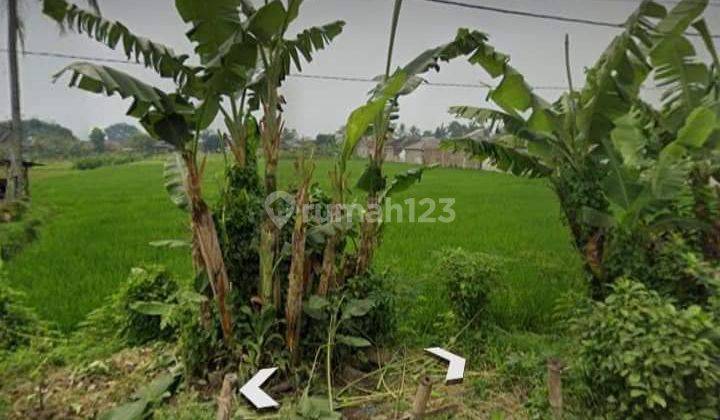 TANAH SAWAH MURAH SEKALI DI BATUJAJAR COCOK UNTUK INVESTASI  1