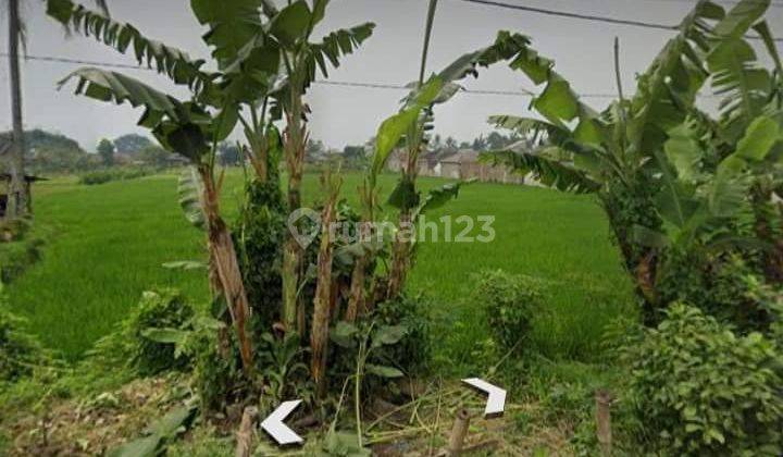 TANAH SAWAH MURAH SEKALI DI BATUJAJAR COCOK UNTUK INVESTASI  3