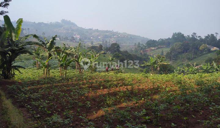 DIJUAL KAVLING DI DAGO PAKAR MURAH SEKALI DEKAT TEBING KERATON 1