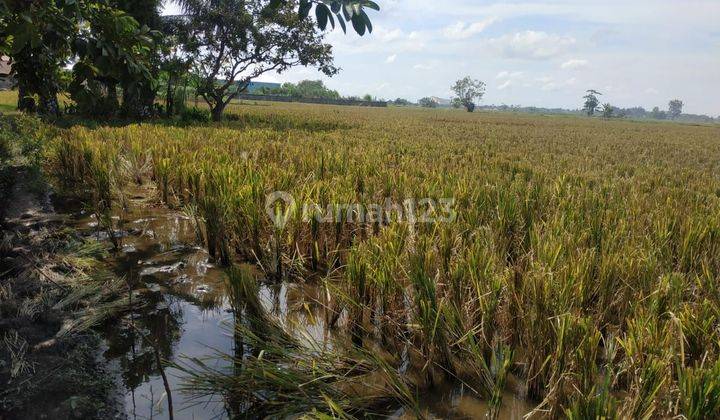Jual Tanah di Tanjung Selamat, Percut  1
