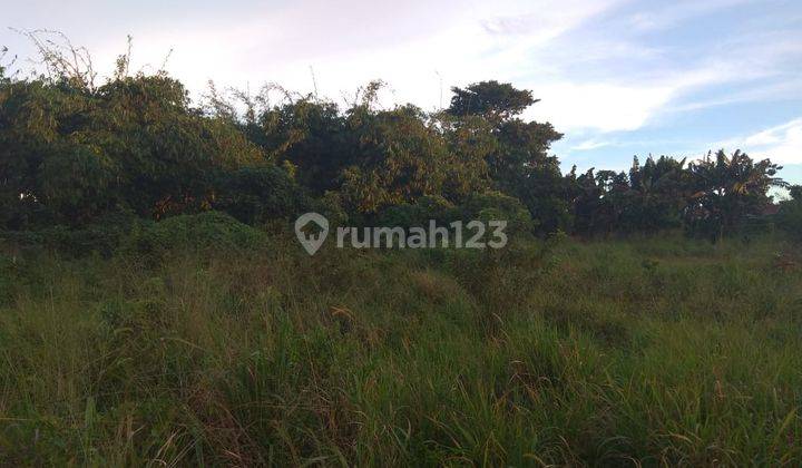 Dijual Tanah Lokasi Bagus Untuk Usaha Di Cikaret Cibinong Bogor 1