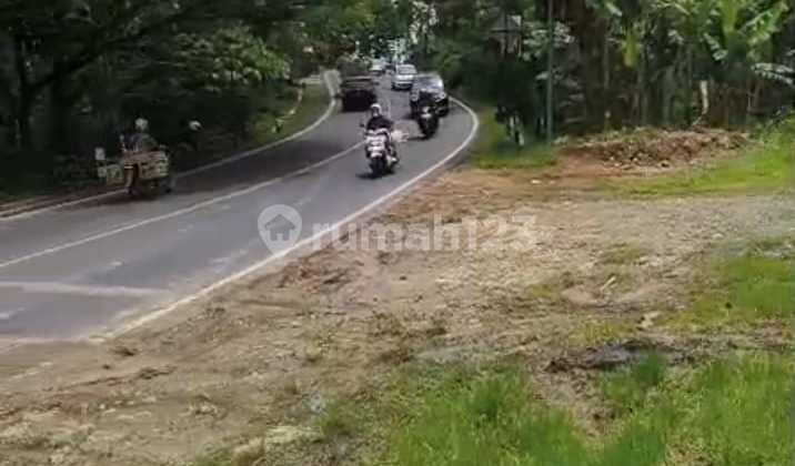 Dijual Kavling Tanah Komersial Wonosari Bukit Bintang Yogjakarta Dijual Kavling Tanah Komersial Wonosari Bukit Bintang Yogjakarta