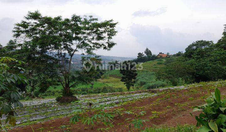 Kavling Cipayung Siap Bangun Villa View Terbaik 9