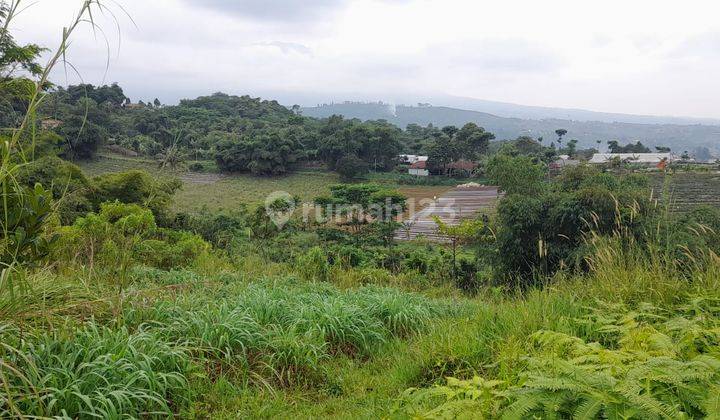 Kavling Cipayung Siap Bangun Villa View Terbaik 8