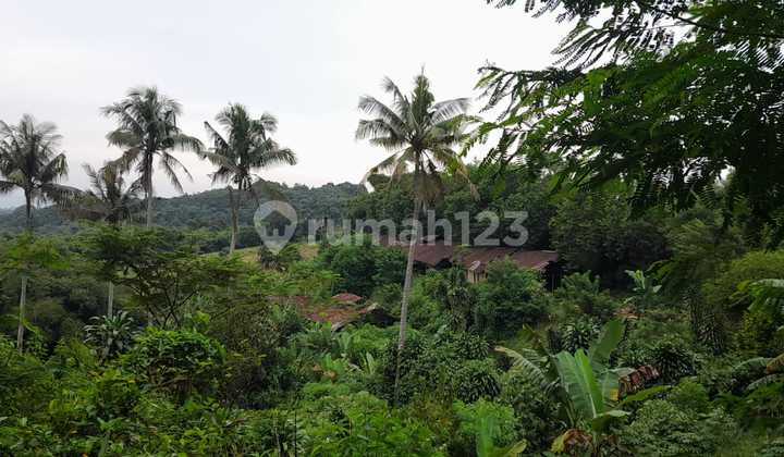 Kavling Cipayung Siap Bangun Villa View Terbaik 10