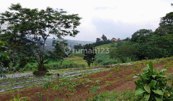 Kavling Cipayung Siap Bangun Villa View Terbaik 12