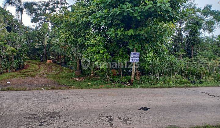 Kavling Raya Arco siap pakai 1
