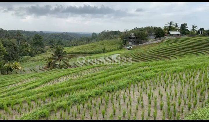 Kavling Gianyar Bali siap pakai untuk Villa dan Resort  2