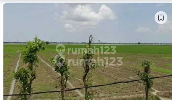 Dijual Tanah Bekasi Ds Sukatenang Kec.sukawangi Jawa Barat