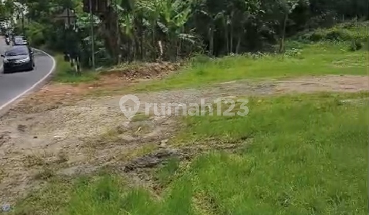 Dijual Kavling Tanah Wonosari Komersial Yogjakarta