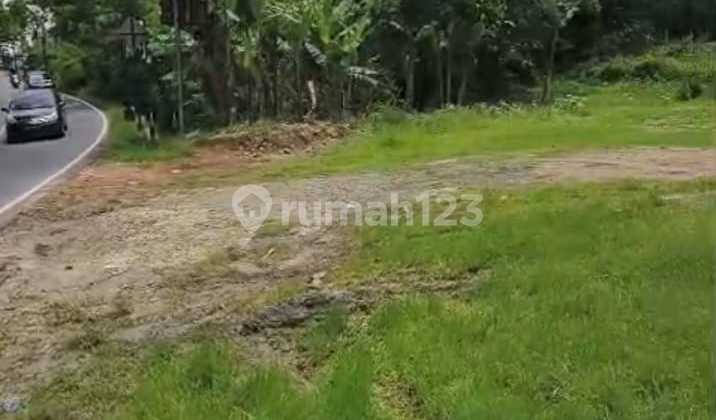 Dijual Kavling Tanah Komersial Wonosari Bukit Bintang Yogjakarta Dijual Kavling Tanah Komersial Wonosari Bukit Bintang Yogjakarta