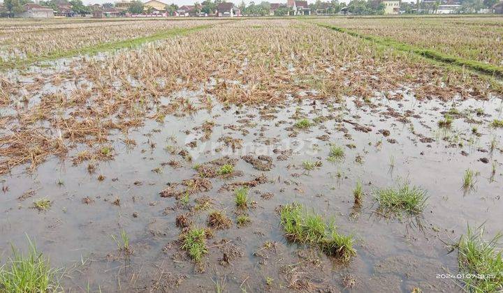 Dijual Tanah Sawah lokasi strategis di Sukoharjo, Bendosari, Toriyo, Jawa Tengah  2