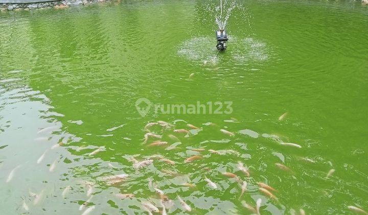 Bayar 3 juta sudah punya rumah sendiri