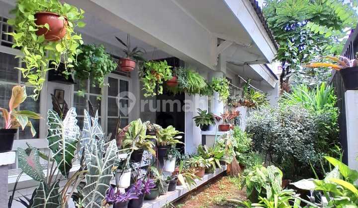 Rumah Murah Dalam Komplek Sektor 9 Bintaro Jaya 2