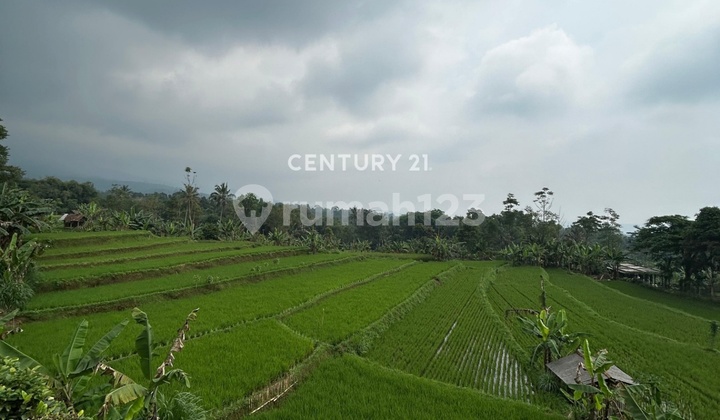 Active Resort With 30 Cottages Or Lodges In Subang