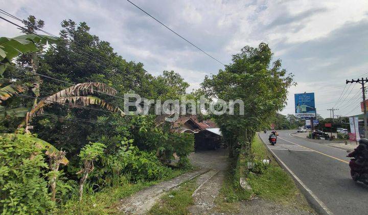 TANAH LUAS BONUS RUMAH HADAP JALAN RAYA WONOSARI YOGYAKARTA 1