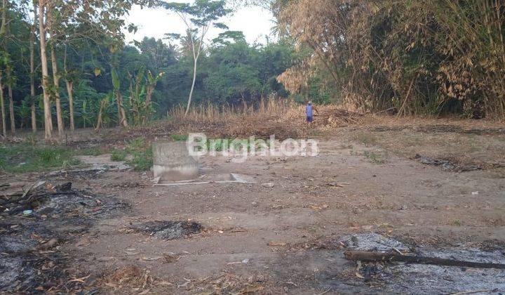 TURUN HARGA 250juta/m² TANAH LUAS DI BANTUL 1