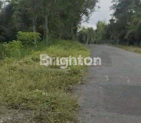 TANAH LUAS DAERAH DINGIN DEKAT WISATA MERAPI PARK YOGYA 2