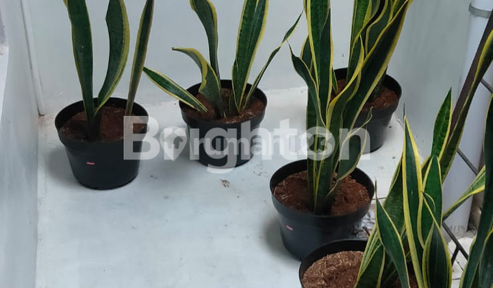 RUMAH PONDOK INDAH WIRUN MOJO 2