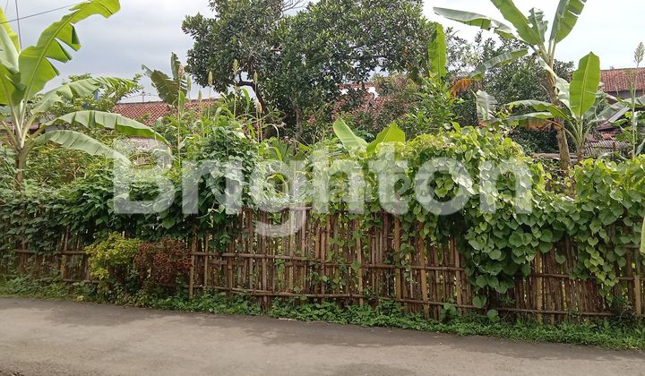 TANAH DATAR SIAP BANGUN DEKAT ANDANG PRANGENAN PURWOKERTO 1