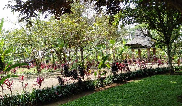 Tanah Villa Dan Kebun Buah 2,7 ha Di Parakan Salak Sukabumi jabar 2