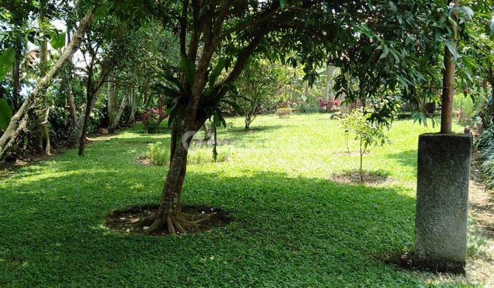 Tanah Villa Dan Kebun Buah 2,7 ha Di Parakan Salak Sukabumi jabar 7