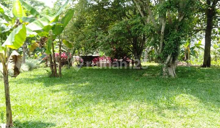 Tanah Villa Dan Kebun Buah 2,7 ha Di Parakan Salak Sukabumi jabar 10