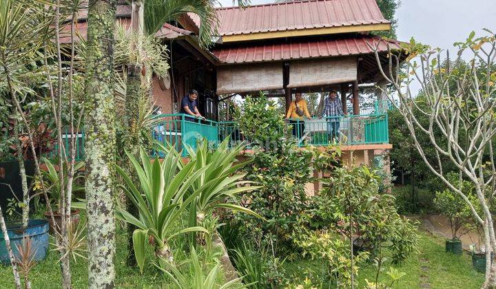 Villa Dan Sawah Pemandangan The Best View Di Cimande Bogor 2