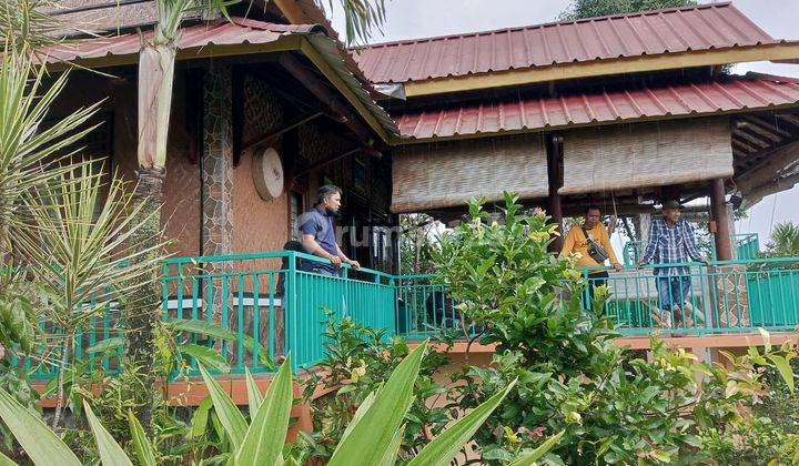 Villa Dan Sawah Pemandangan The Best View Di Cimande Bogor 4
