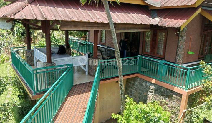 Villa Dan Sawah Pemandangan The Best View Di Cimande Bogor 5