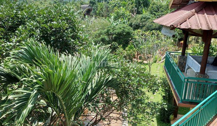 Villa Dan Sawah Pemandangan The Best View Di Cimande Bogor 9