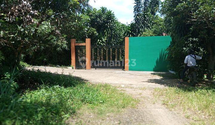 Villa Dan Sawah Pemandangan The Best View Di Cimande Bogor 22