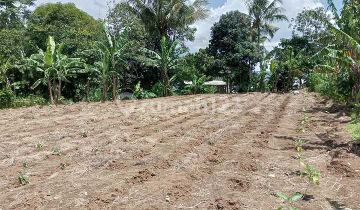 Jual Tanah 1 Hektar Hargnya Rp 650 Meter Lokasi Cimande 6