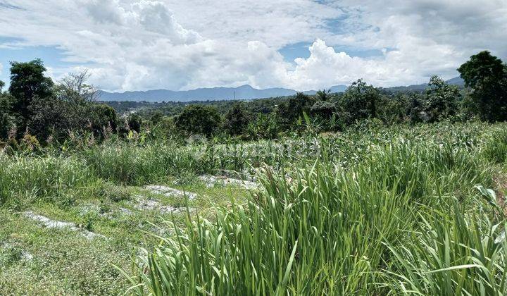 Jual Tanah 1 Hektar Hargnya Rp 650 Meter Lokasi Cimande 7