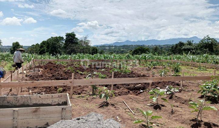 Jual Tanah 1 Hektar Hargnya Rp 650 Meter Lokasi Cimande 14