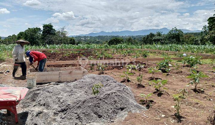Jual Tanah 1 Hektar Hargnya Rp 650 Meter Lokasi Cimande 15