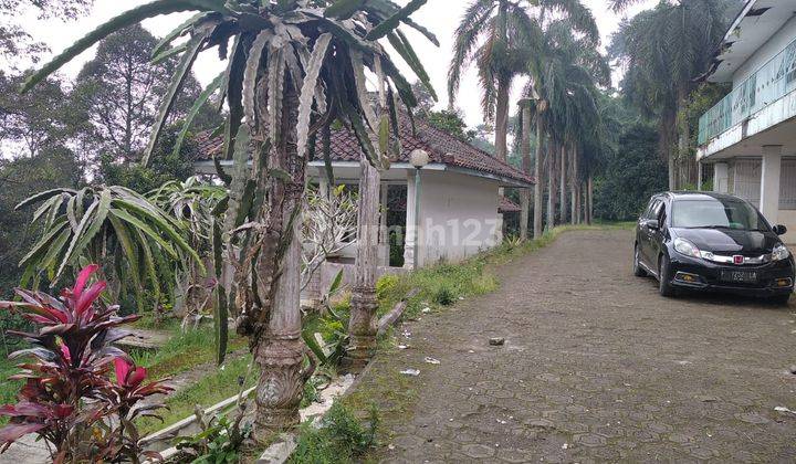 Tanah Murah 40Ha Hanya 90rb/meter Ada Kebun Duren  5