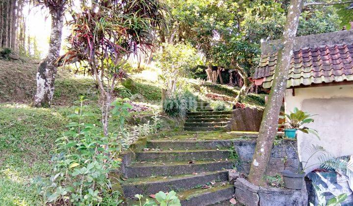 Villa Cocok Untuk Penginapan Atau Restauran Lokasi Pinggir Jalan  4